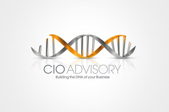 WEB_Ineum_CIOAdvisory_012